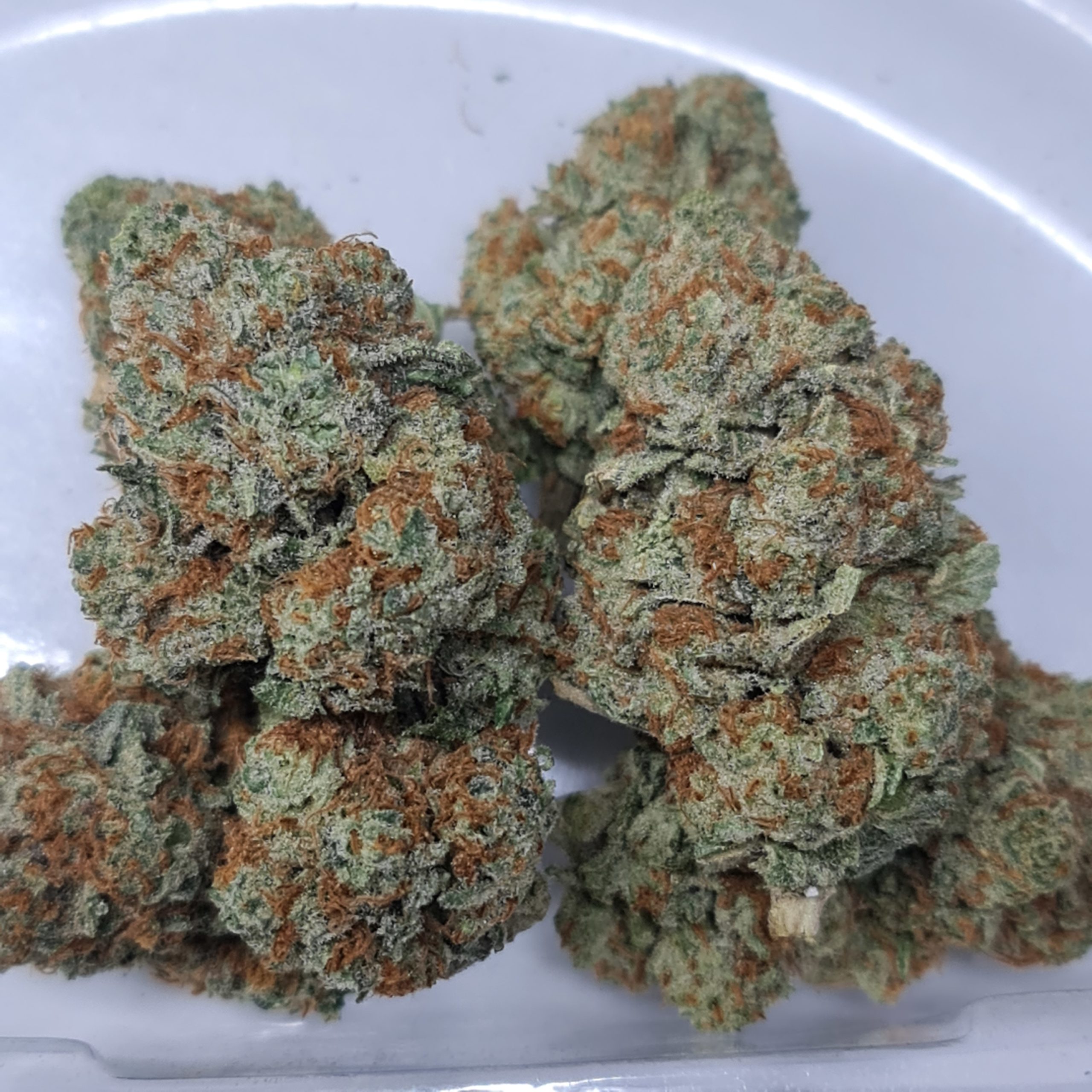 Buy TRIANGLE MINTS BUDGET QUADS ***CLEARANCE SALE Weed On A Budget