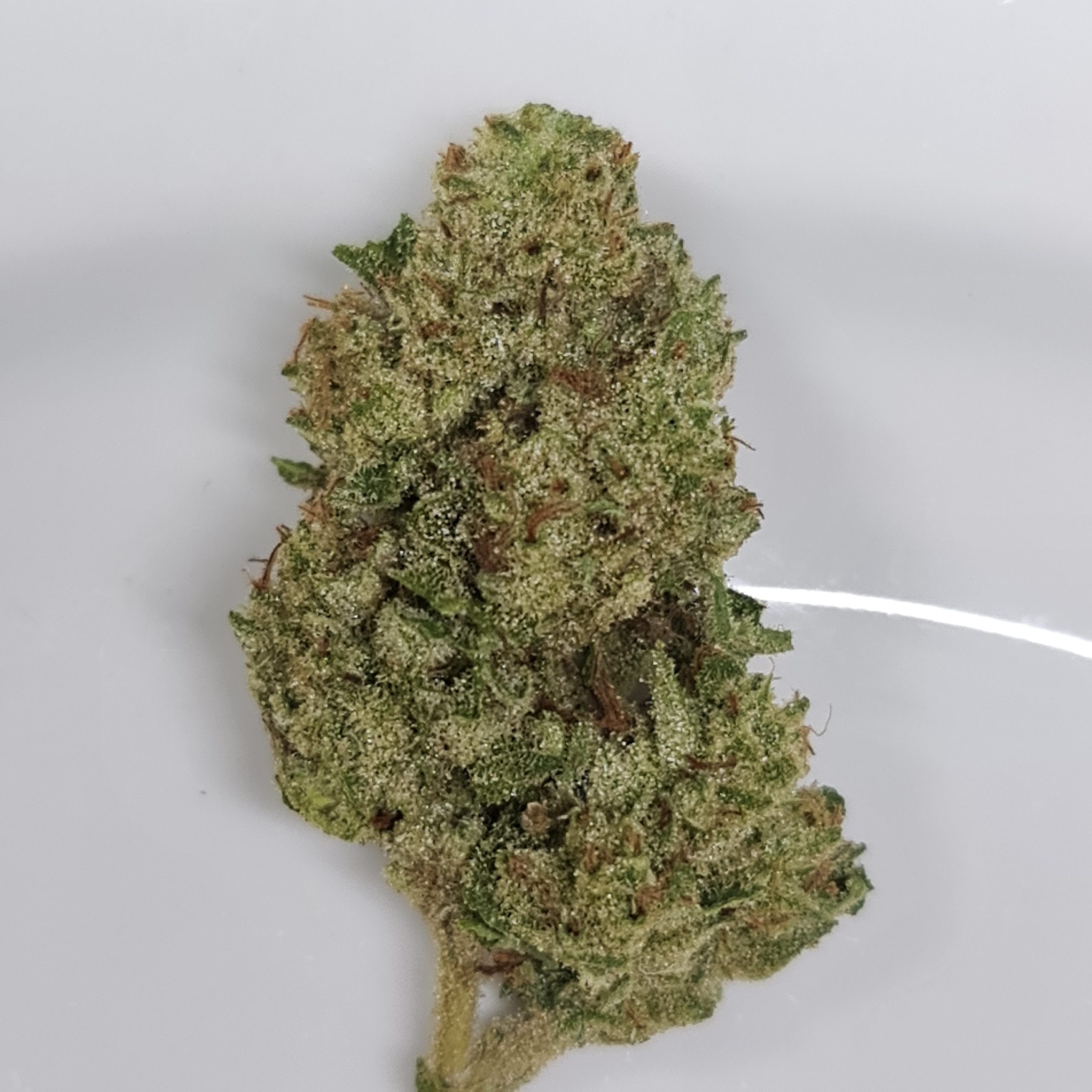 Buy PUNCHES & CREAM BUDGET OUNCE PLUS 75/OZ ***RARE Weed On A Budget