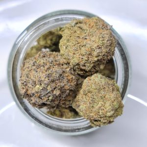 girl scout cookies toronto for sale