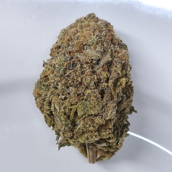 girl scout cookies toronto for sale
