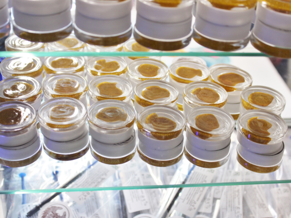Concentrates shatter rosin oils
