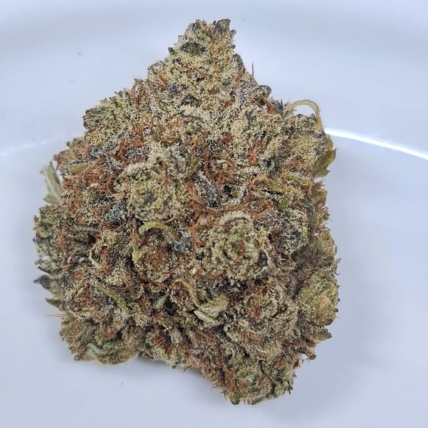 Buy COOKIES BREATH BUDGET QUADS ***CLEARANCE SALE Weed On A Budget