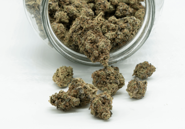 Buds Jar