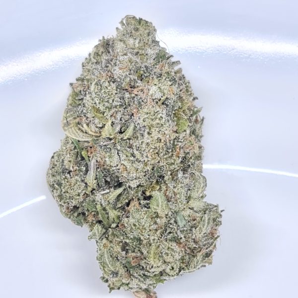 GHOST TRAIN HAZE BUDGET TRIPS $140/2OZ $75/OZ $45/HALF OZ - Image 2
