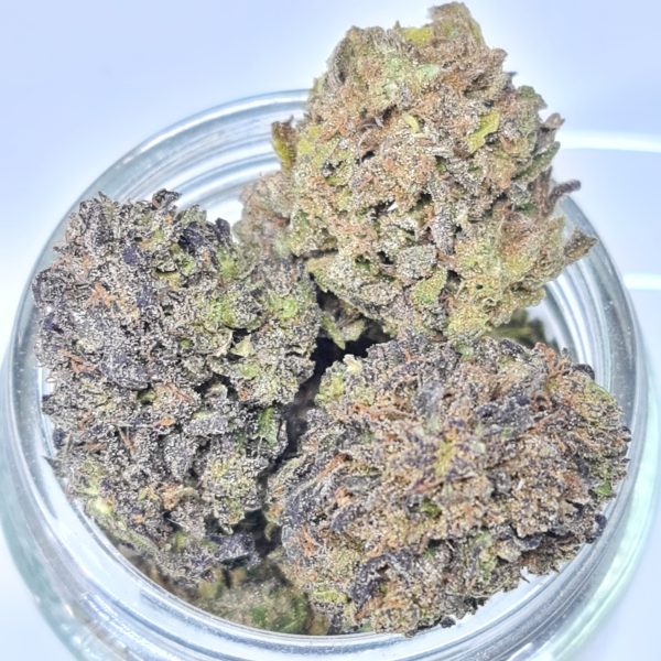 BISCOTTI GELATO BUDGET OUNCE $60/OZ $40/HALF OZ