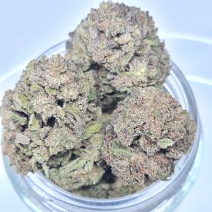 WHITE TRUFFLE BUDGET OUNCE $60/OZ $40/HALF OZ