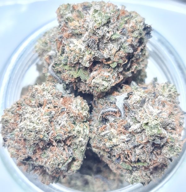 PINK TUNA BUDGET QUADS BC BUD $200/2OZ $120/OZ $70/HALF OZ