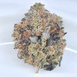 GREASE MONKEY BUDGET TRIPS BC BUD $140/2OZ $75/OZ $45/HALF OZ
