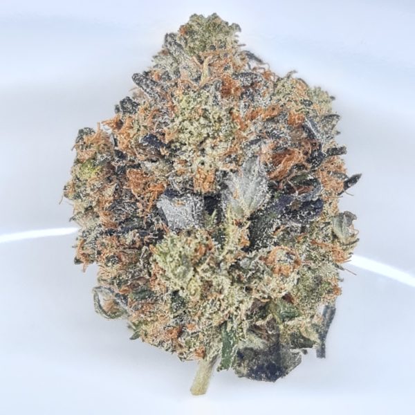 GREASE MONKEY BUDGET TRIPS BC BUD $140/2OZ $75/OZ $45/HALF OZ