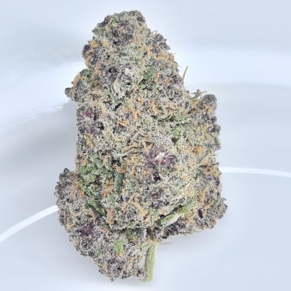HAWAIIAN RAIN BUDGET QUADS $200/2OZ $120/OZ $70/HALF OZ ***EXOTIC - Image 2