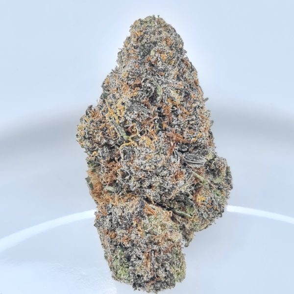 GARLIC COOKIE BUDGET QUADS $200/2OZ $120/OZ $70/HALF OZ - Image 2