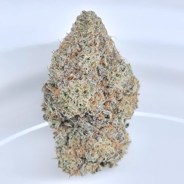BLACK TRUFFLE BUDGET QUADS $200/OZ $120/OZ $70/HALF OZ - Image 2