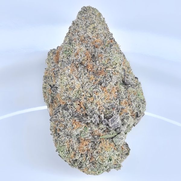 OBAMA RUNTZ BUDGET QUADS $200/2OZ $120/OZ $70/HALF OZ - Image 2