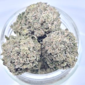 GHOST TRAIN HAZE BUDGET TRIPS $140/2OZ $75/OZ $45/HALF OZ