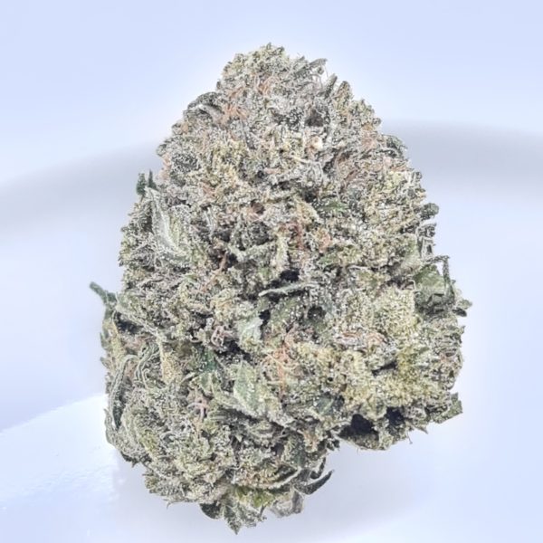 GHOST TRAIN HAZE BUDGET TRIPS $140/2OZ $75/OZ $45/HALF OZ - Image 2