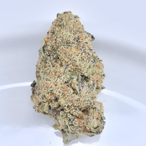 GMOG BUDGET QUADS $180/2OZ $100/OZ $60/HALF OZ - Image 2