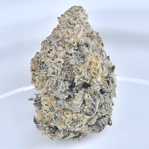 EL FUEGO BLANCO BUDGET QUADS $200/2OZ $120/OZ $70/HALF OZ - Image 2