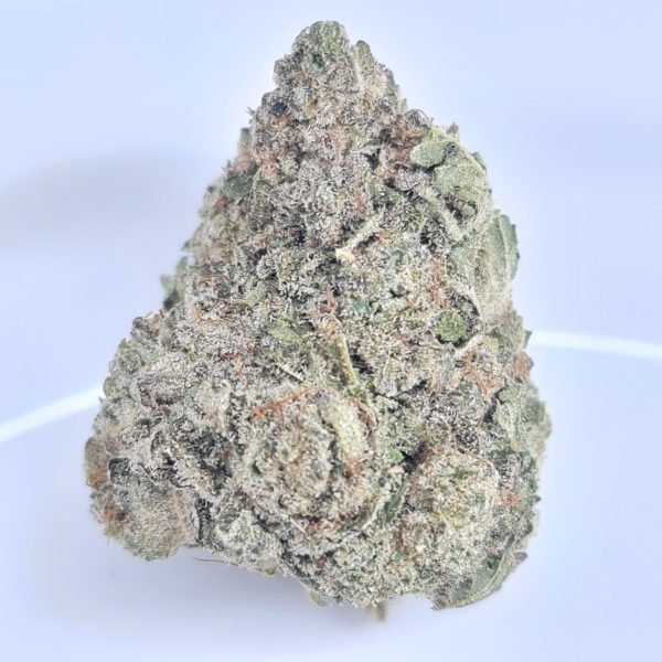 GORILLA GLUE #4 BUDGET OUNCE $60/OZ $40/HALF OZ - Image 2