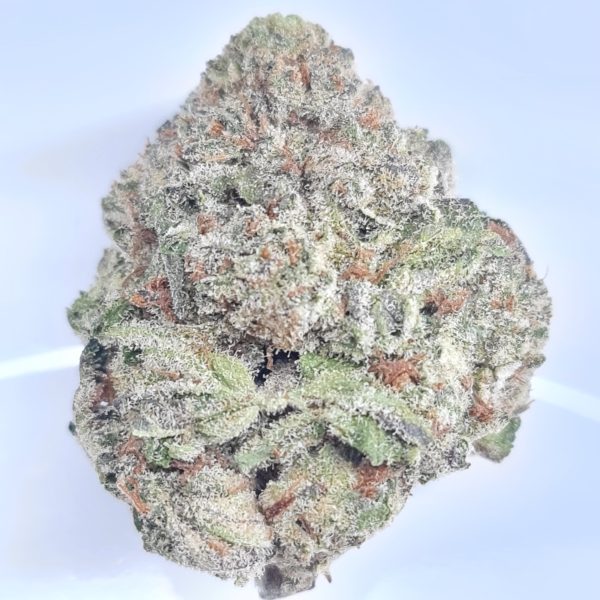 BLUE GELATO BUDGET OUNCE PLUS $60/OZ $40/HALF OZ - Image 2