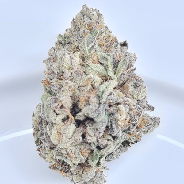 KING'S KUSH BUDGET QUADS $180/2OZ $100/OZ $60/HALF OZ - Image 2