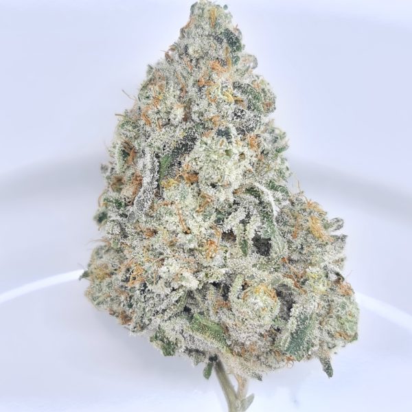 EL JEFE BUDGET QUADS $180/2OZ $100/OZ $60/HALF OZ - Image 2