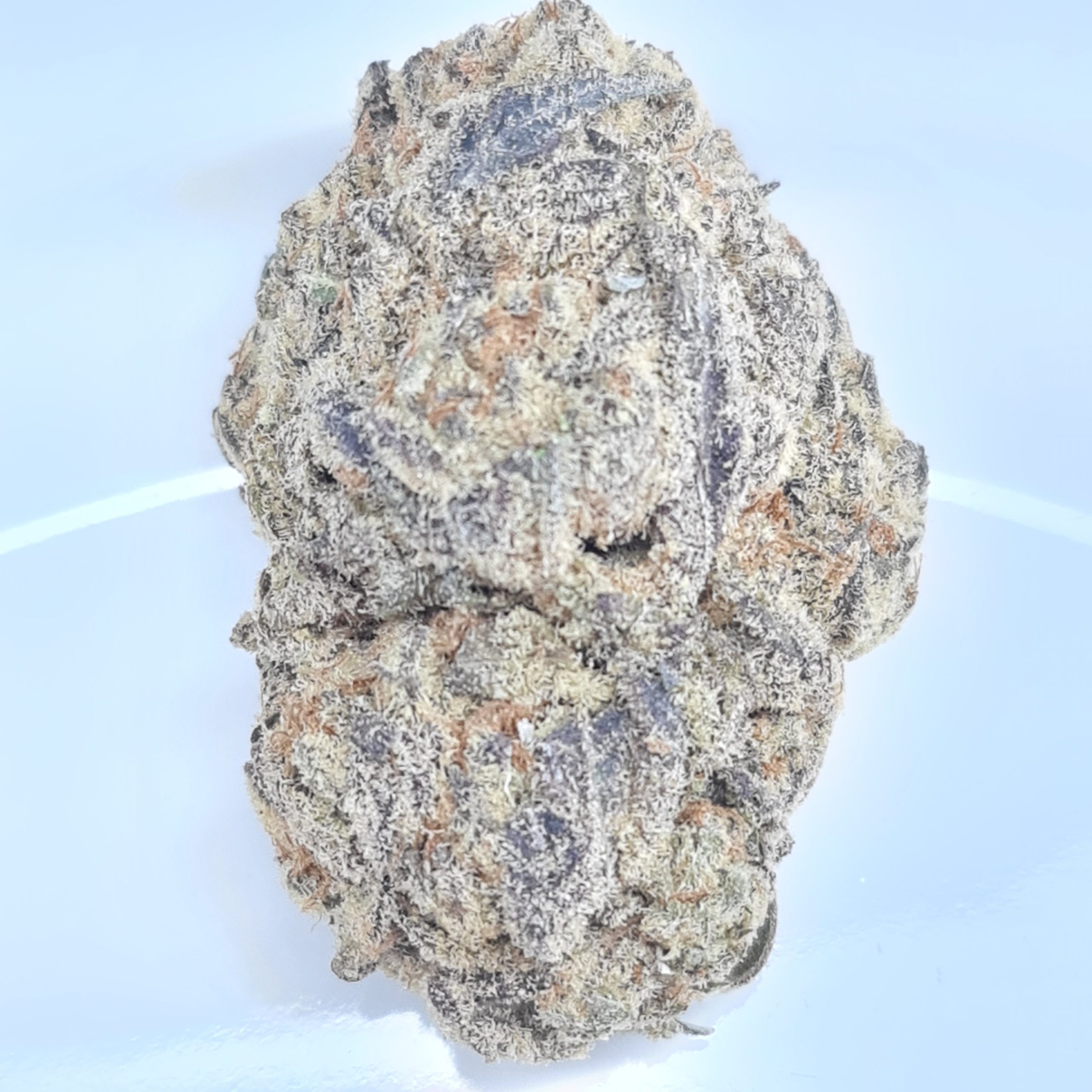 UK CHEDDAR CHEESE BUDGET QUADS $180/2OZ $100/OZ $60/HALF OZ - Image 2