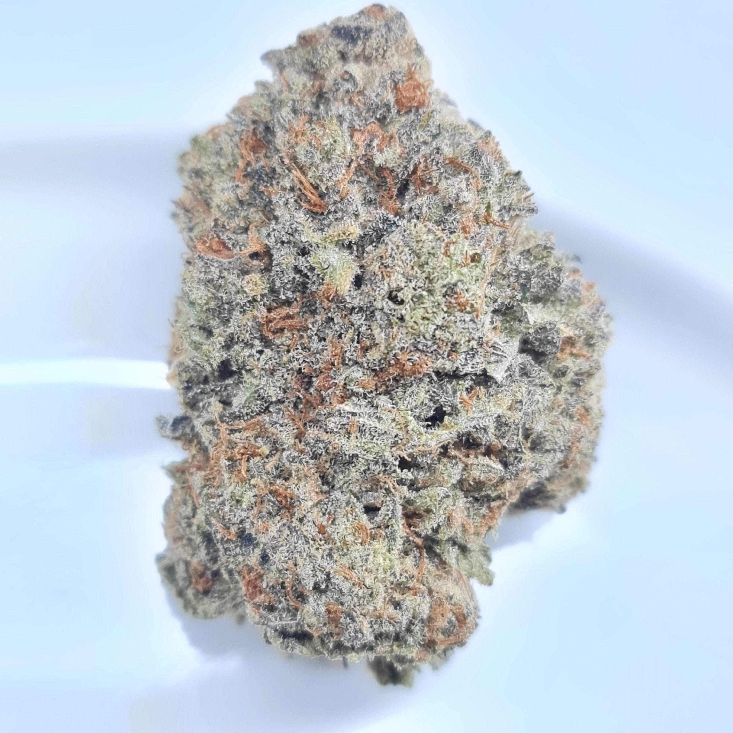 BLUE ZTARBURZT BUDGET QUADS $180/2OZ $100/OZ $60/HALF OZ - Image 2