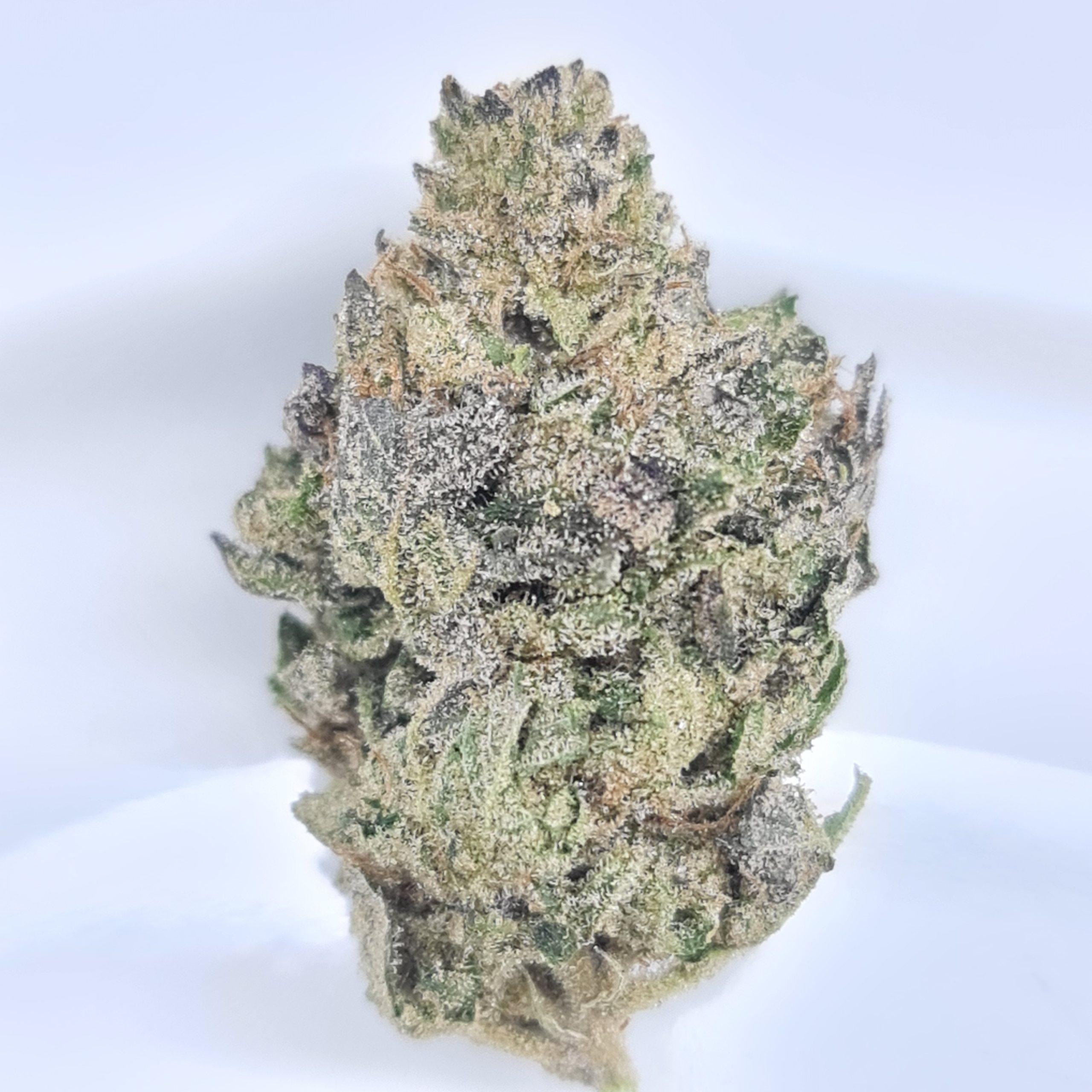 BLACKBERRY KUSH BUDGET OUNCE $60/OZ $40/HALF OZ ***SMALL BUDS - Image 2