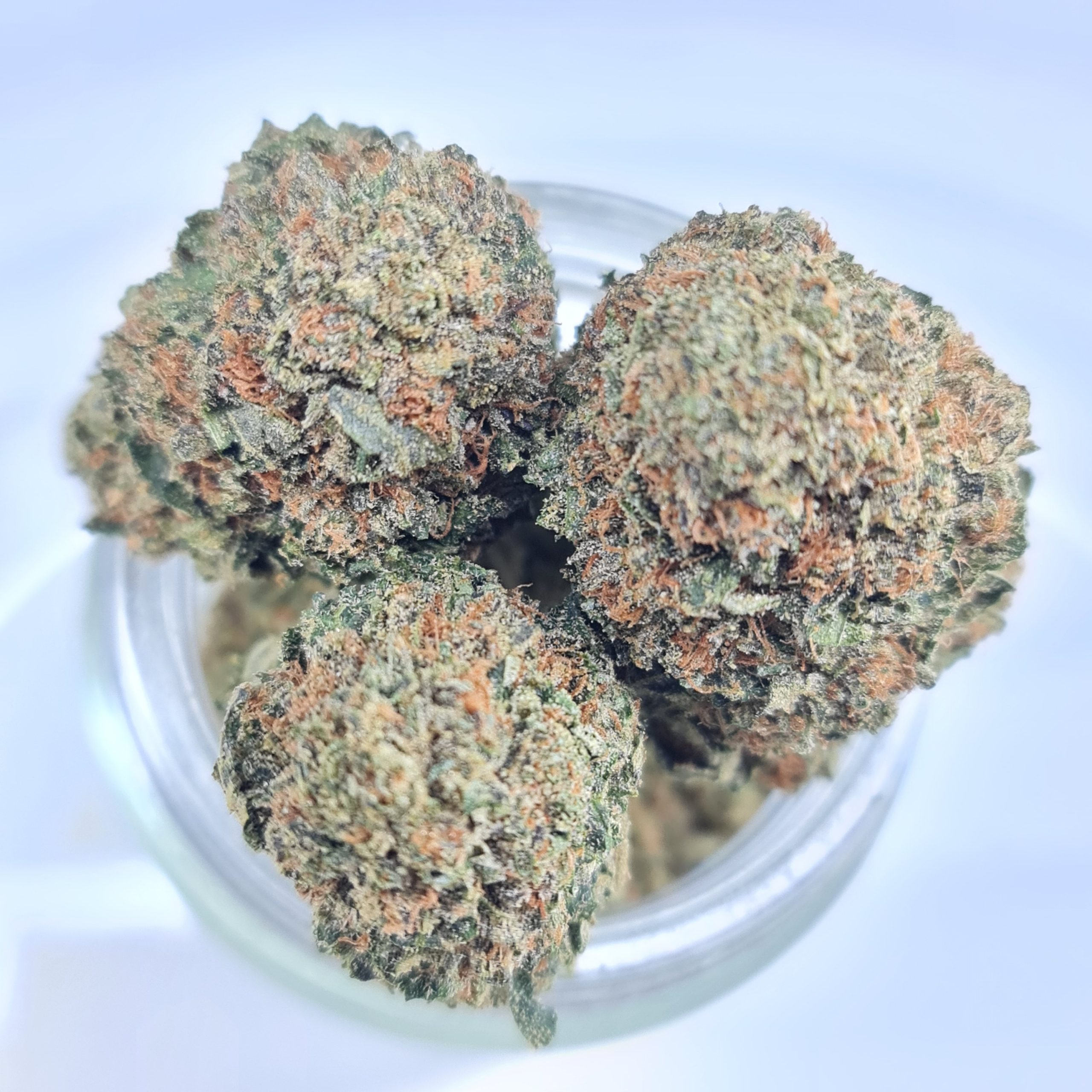GOD'S GREEN CRACK BUDGET TRIPS $140/2OZ $75/OZ $45/HALF OZ