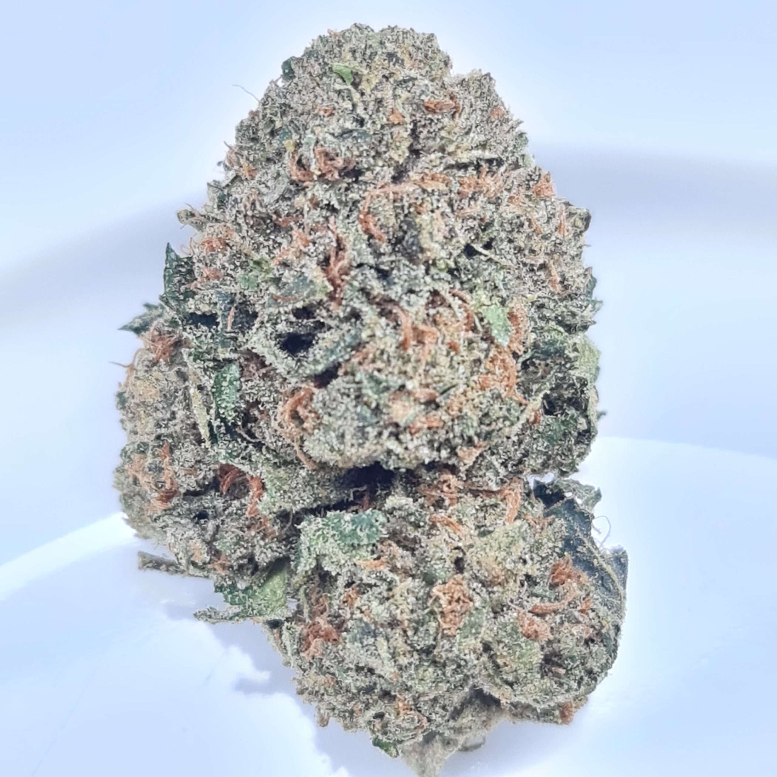 GOD'S GREEN CRACK BUDGET TRIPS $140/2OZ $75/OZ $45/HALF OZ - Image 2