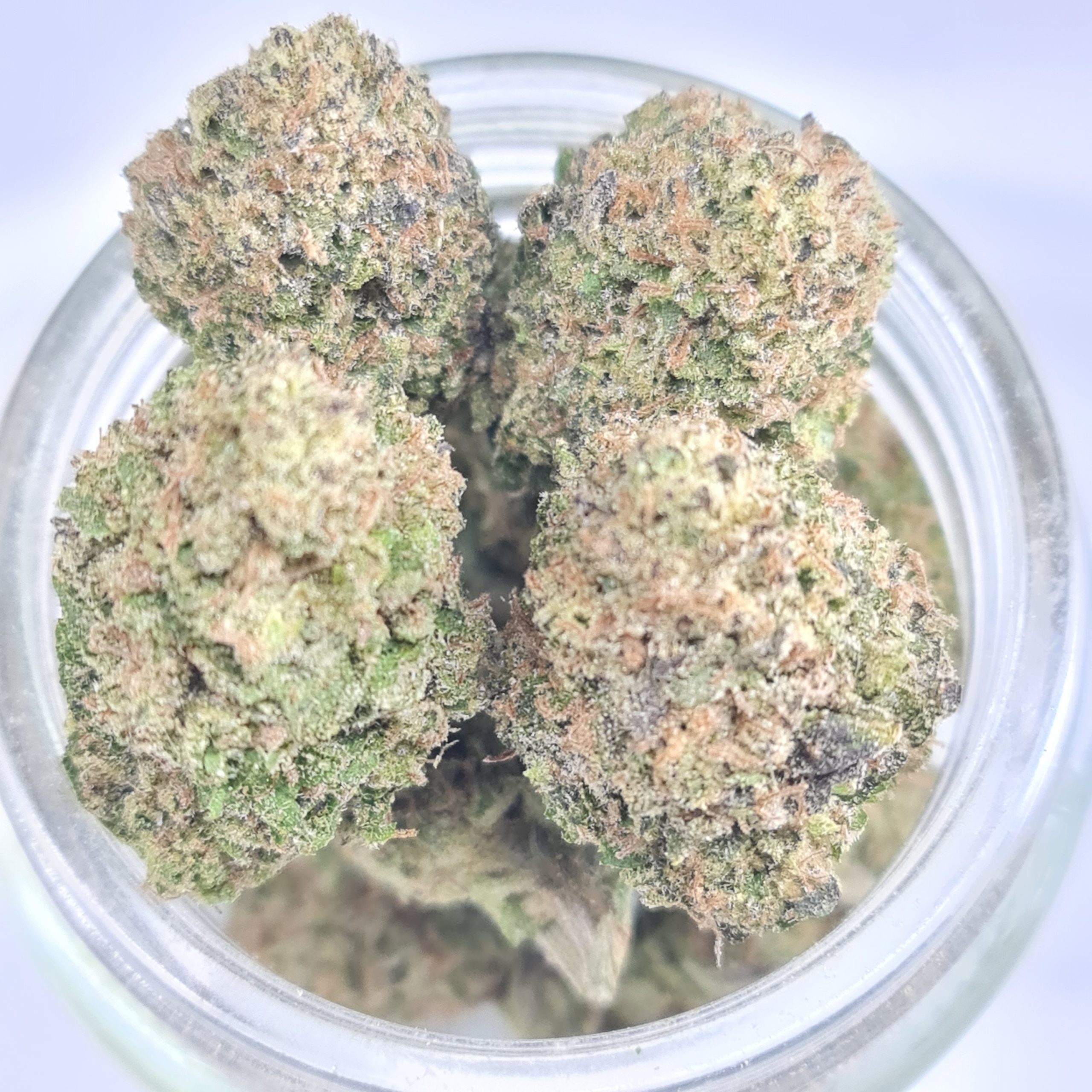 TOM FORD PINK KUSH BUDGET OUNCE PLUS $60/OZ $40/HALF OZ ***SMALL BUDS