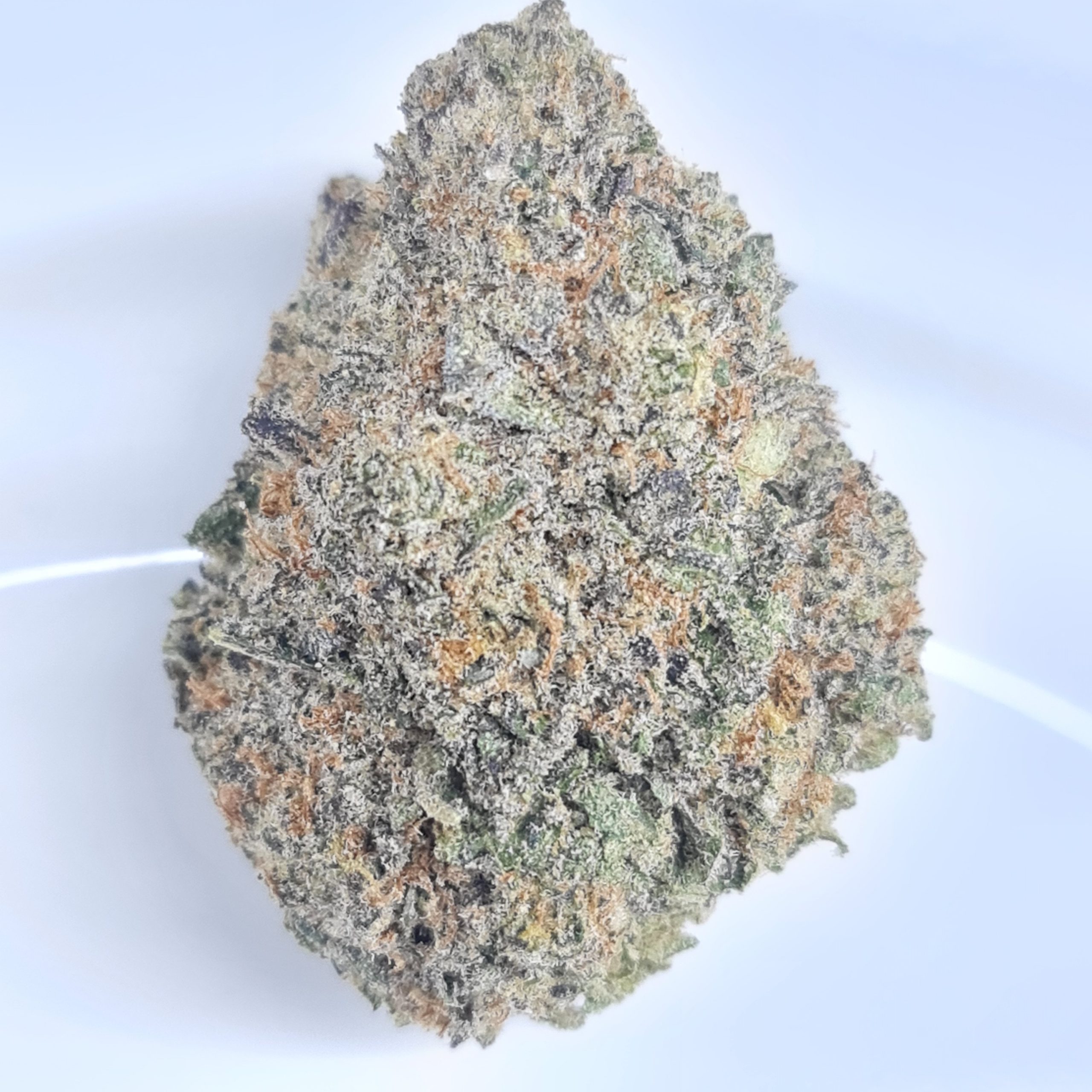 DIOR PINK KUSH SUPER QUADS BC BUD $250/2OZ $140/OZ $80/HALF OZ - Image 2