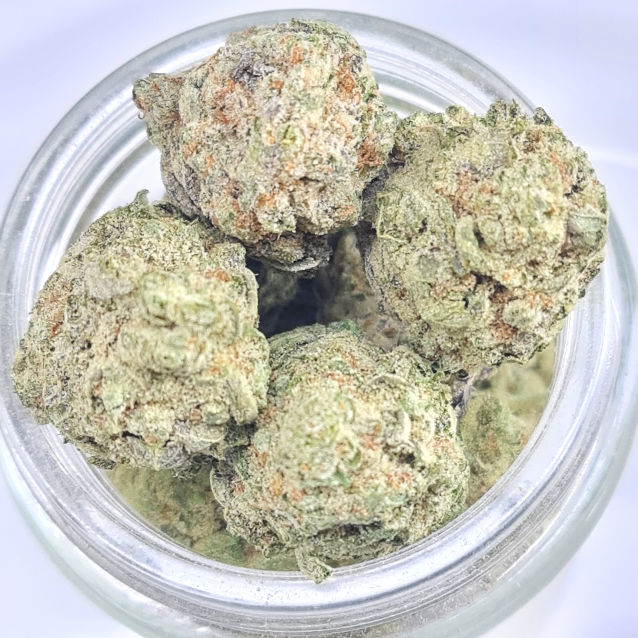 CHIQUITA BANANA BUDGET QUADS $200/2OZ $120/OZ $70/HALF OZ