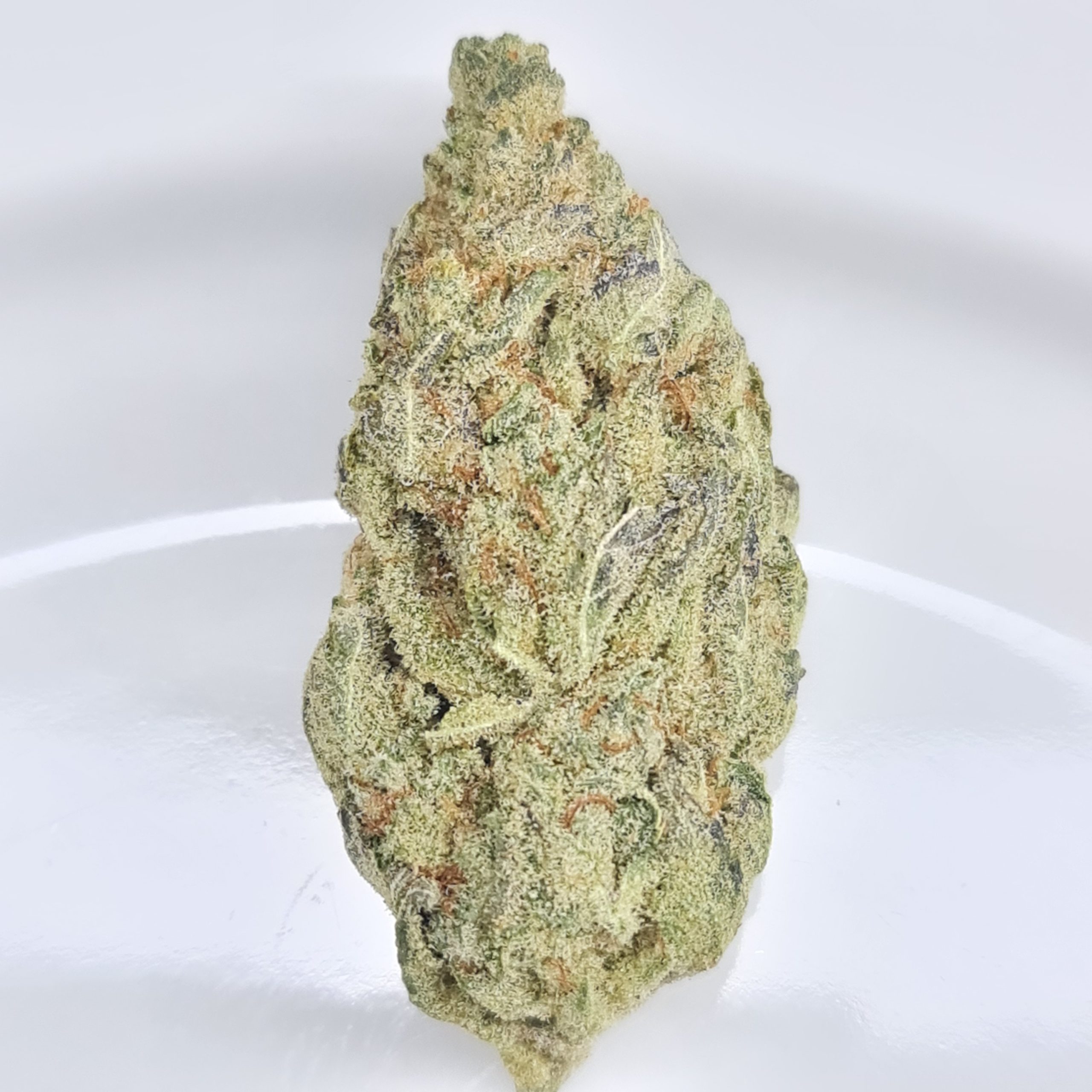 CHIQUITA BANANA BUDGET QUADS $200/2OZ $120/OZ $70/HALF OZ - Image 2