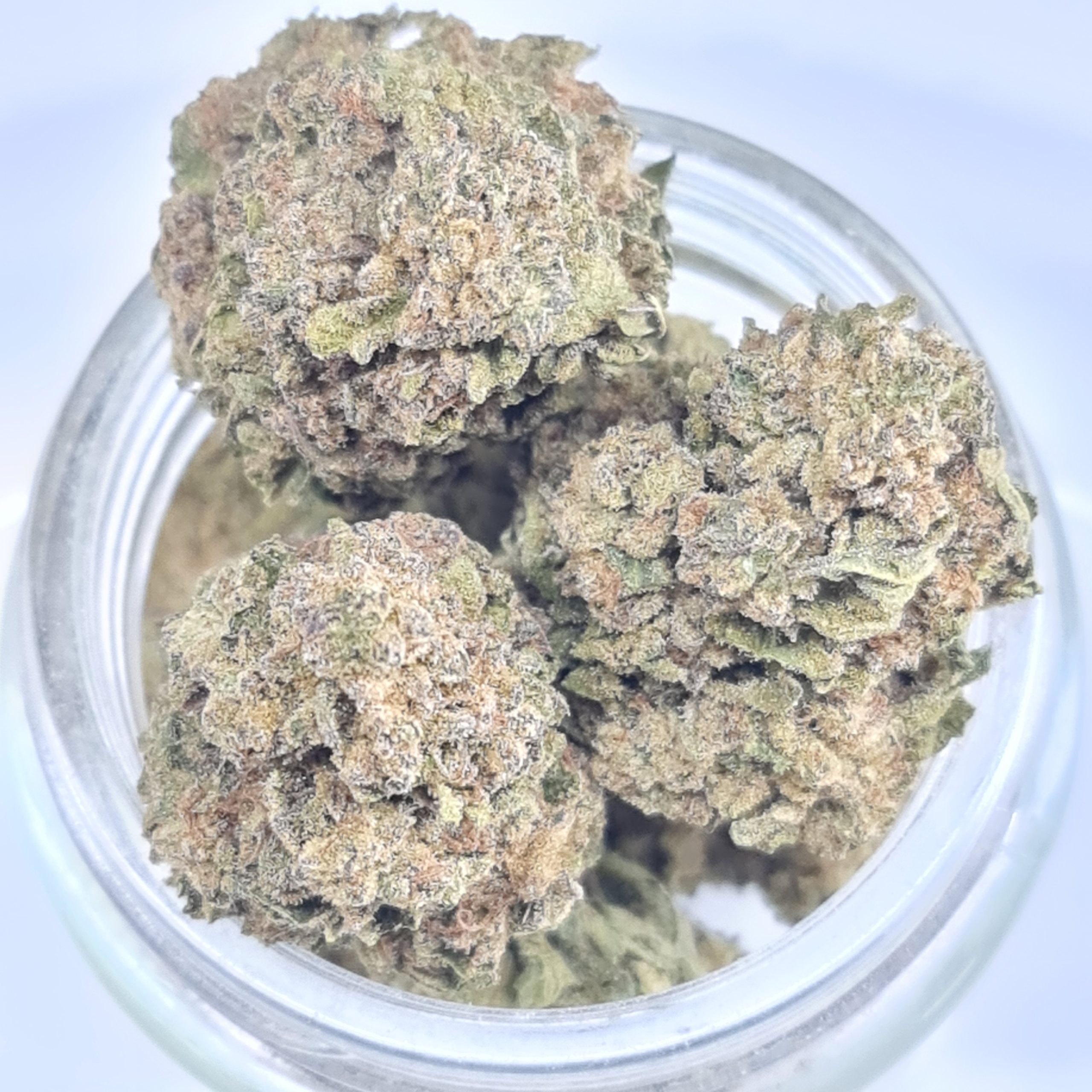 GOLDEN TANGIE BUDGET OZ $60/OZ $40/HALF OZ ***SMALLER SIZE BUDS