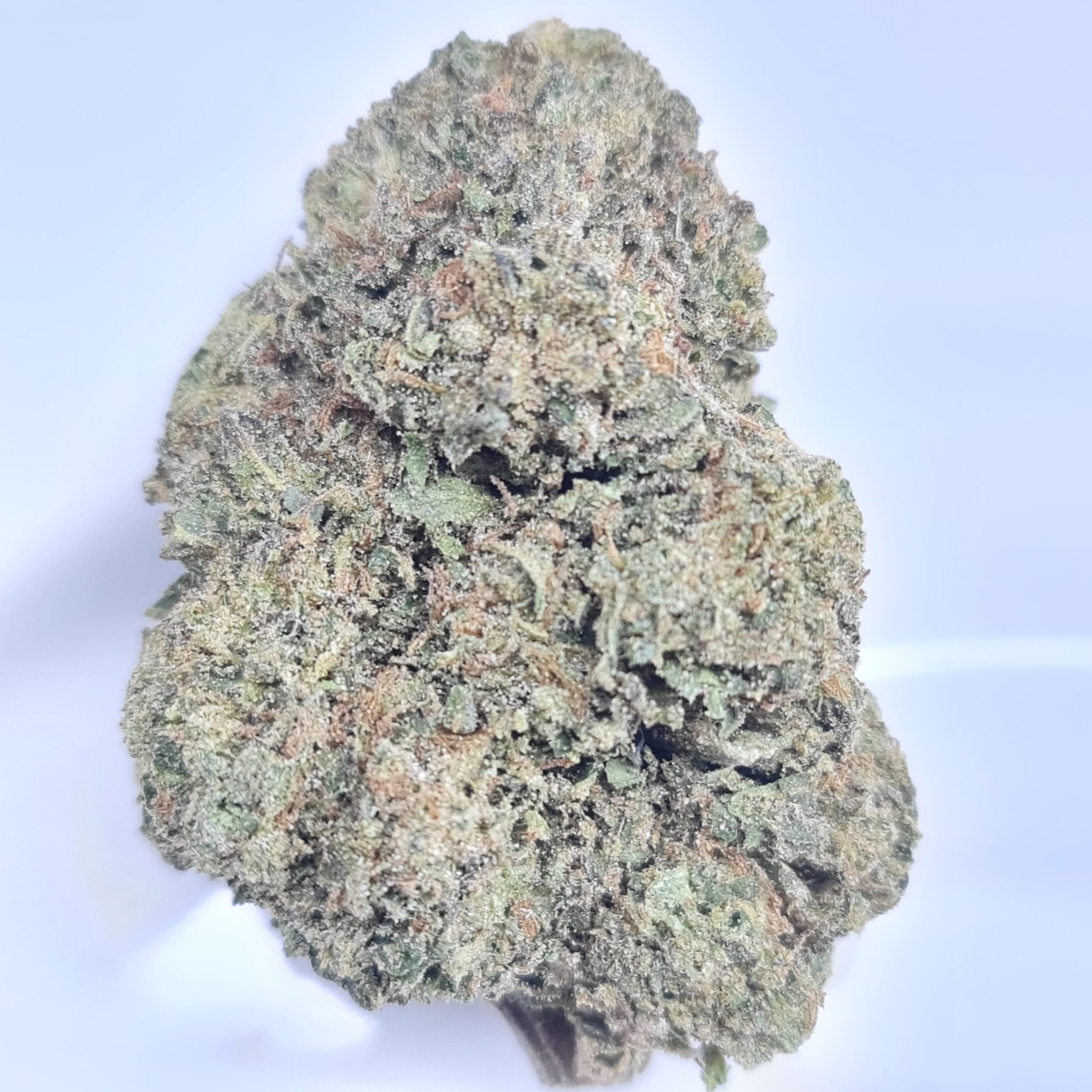 SKYWALKER OG BUDGET OZ $60/OZ $40/HALF OZ - Image 2