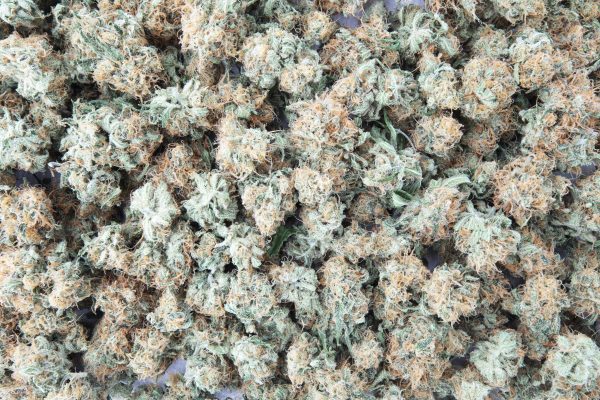 popcorn buds for edibles