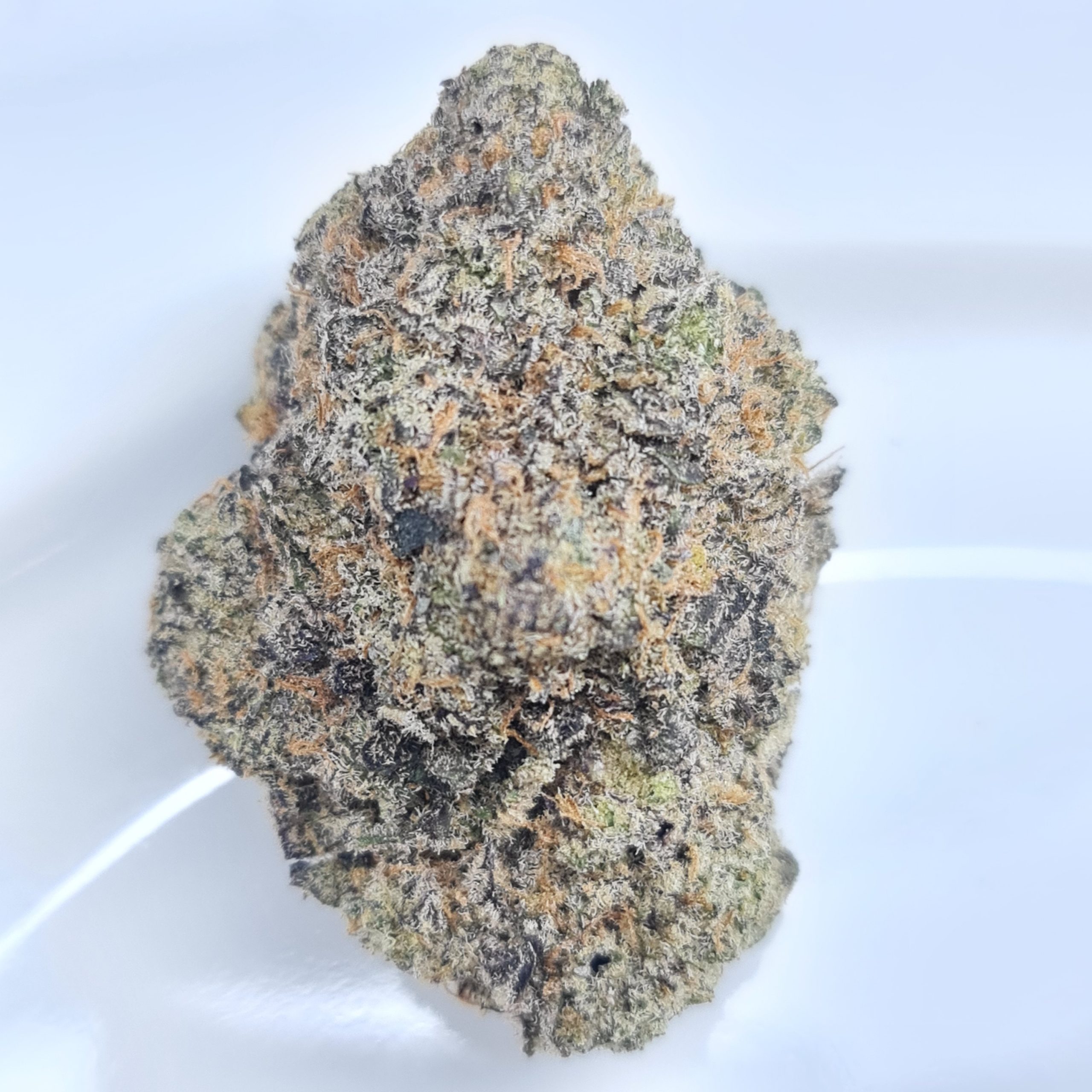 JEALOUSY DANKNESS BUDGET SUPER QUADS $250/2OZ $140/OZ $80/HALF OZ - Image 2
