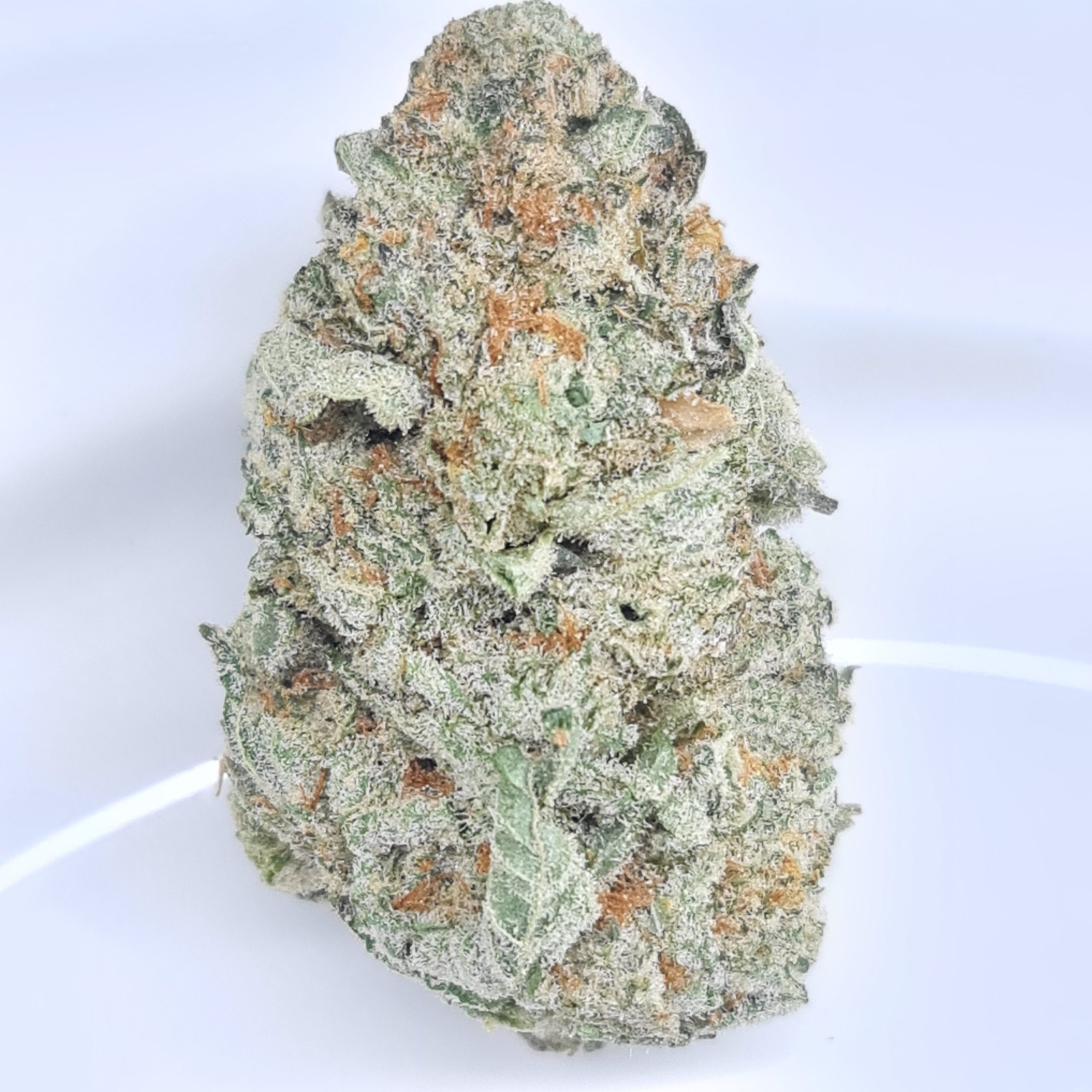 WHITE FIRE OG BUDGET QUADS $180/2OZ $100/OZ $60/HALF OZ - Image 2