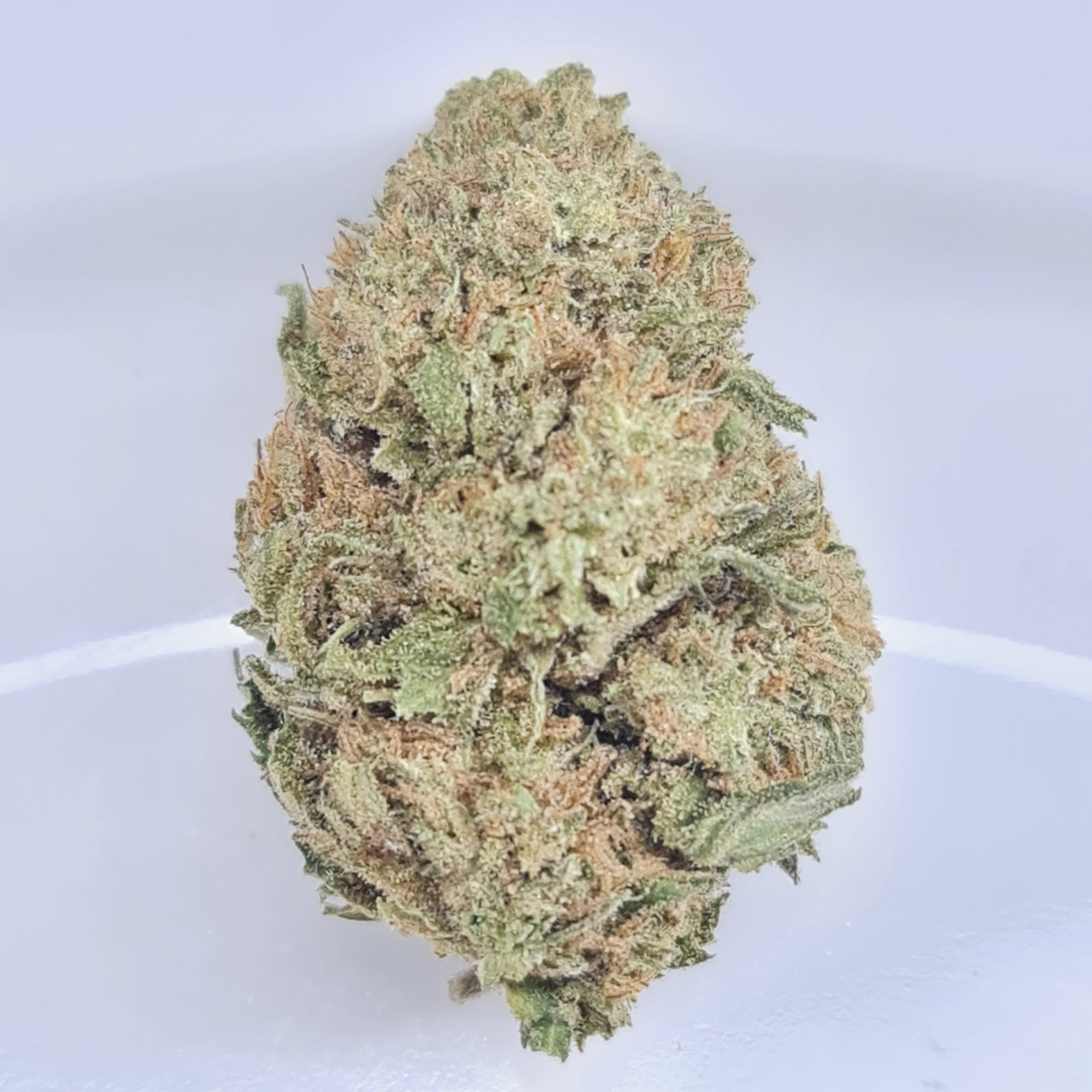 GUAVA GELATO BUDGET OZ $60/OZ $40/HALF OZ ***SMALL BUDS - Image 2