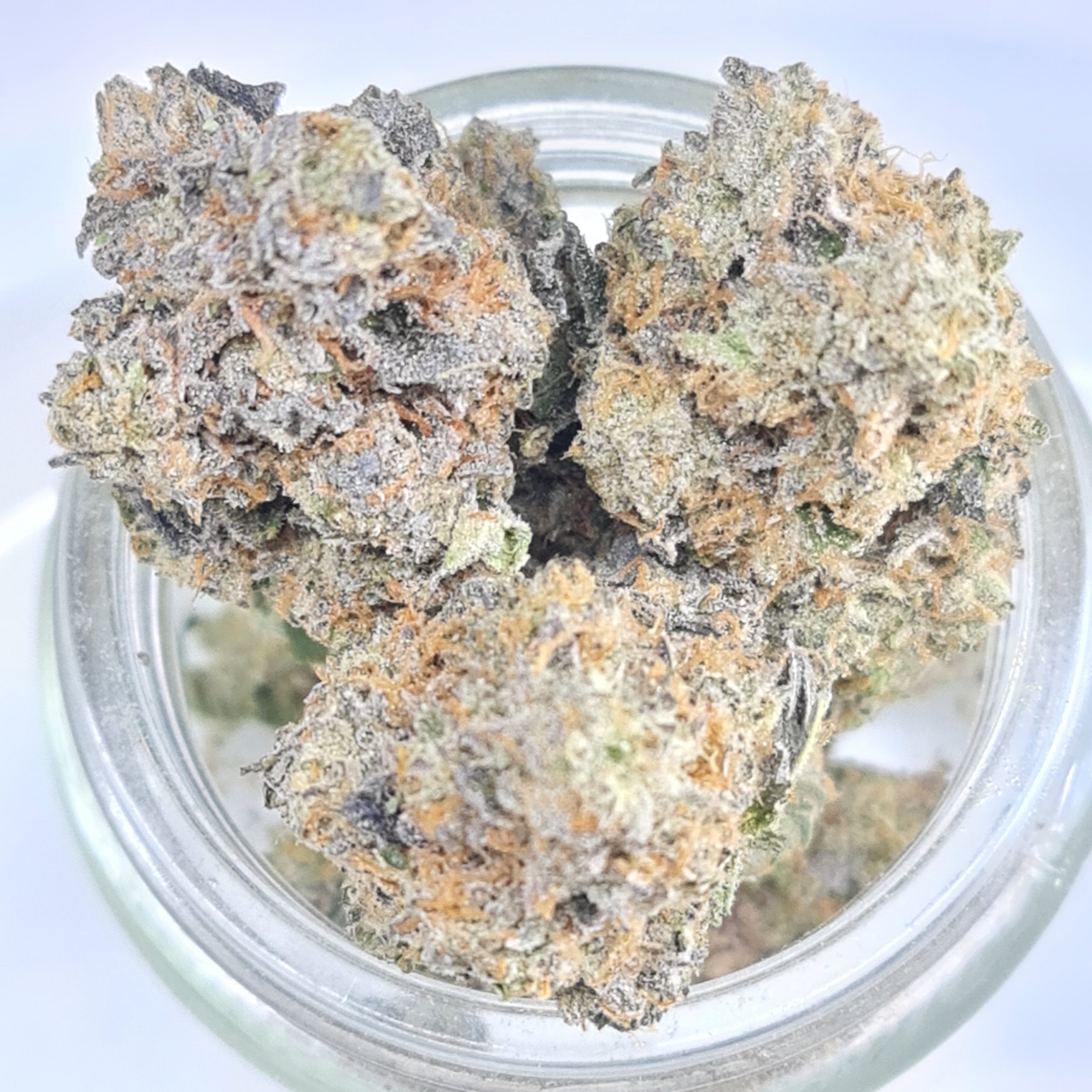 MARSHMALLOW MILK BUDGET QUADS $180/2OZ $100/OZ $60/HALF OZ
