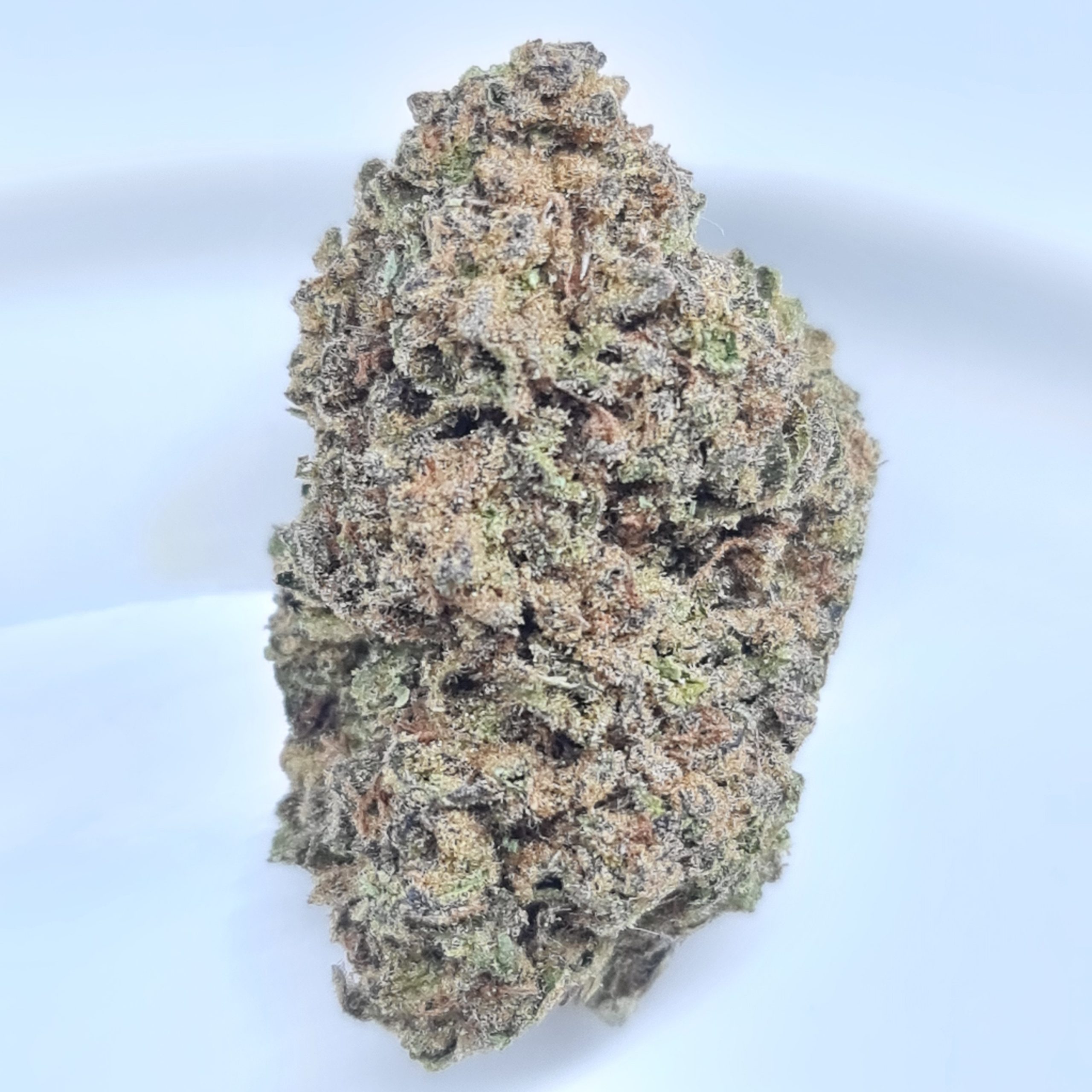 HEADBAND OG BUDGET OZ $60/OZ $40/HALF OZ - Image 2