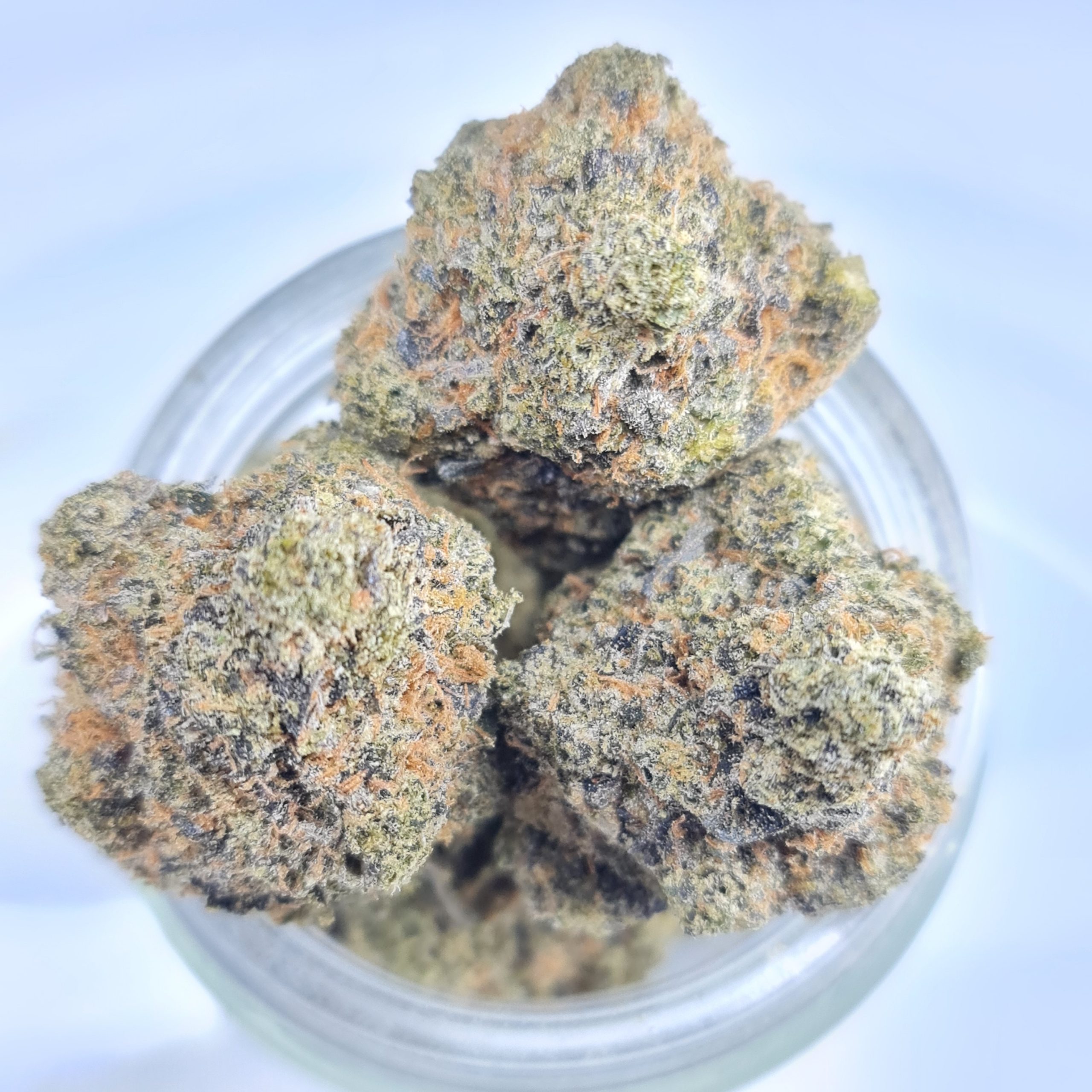 PINK GOO BUDGET QUADS BC BUD $200/2OZ $120/OZ $70/HALF OZ