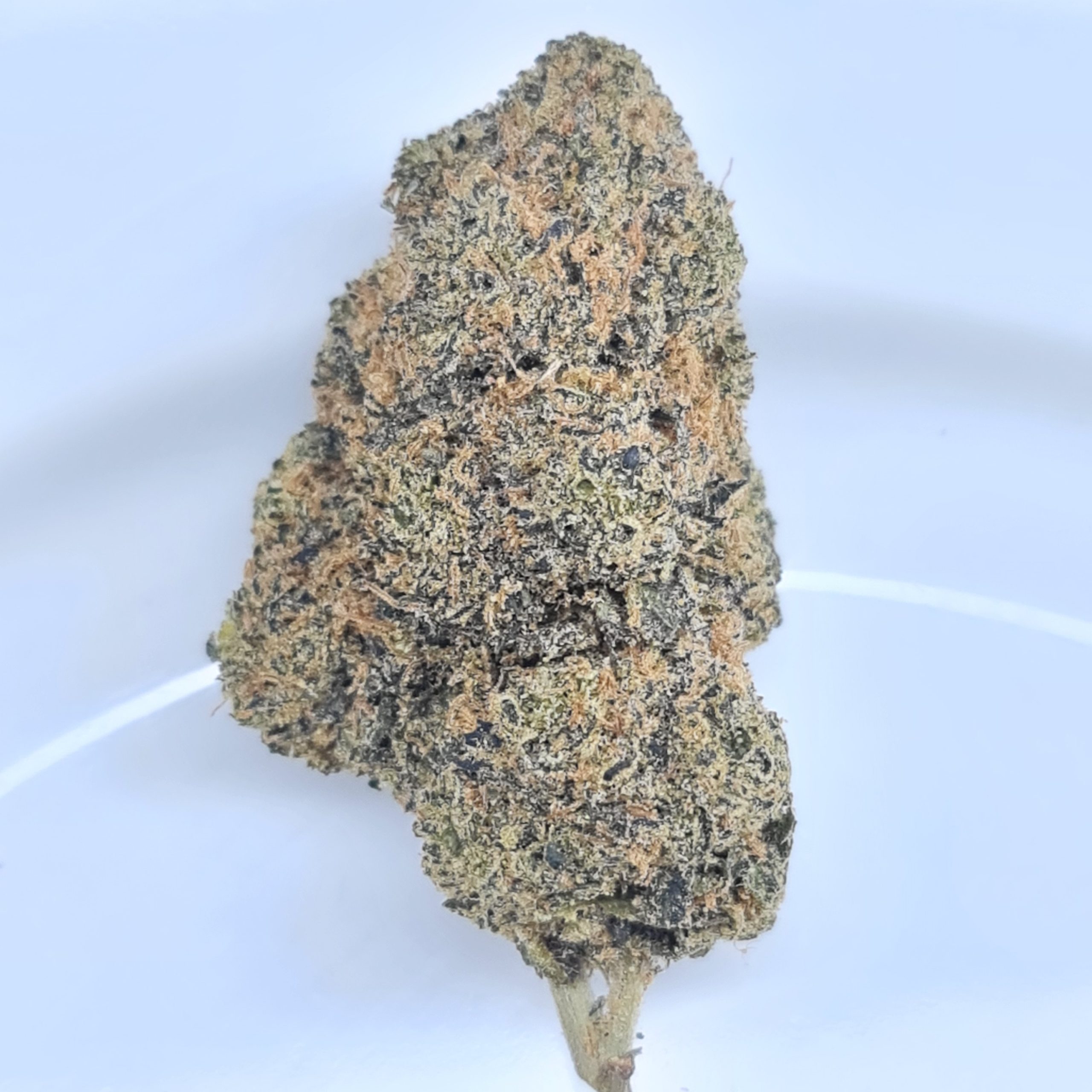 OMFG BUDGET QUADS $180/2OZ $100/OZ $60/HALF OZ - Image 2
