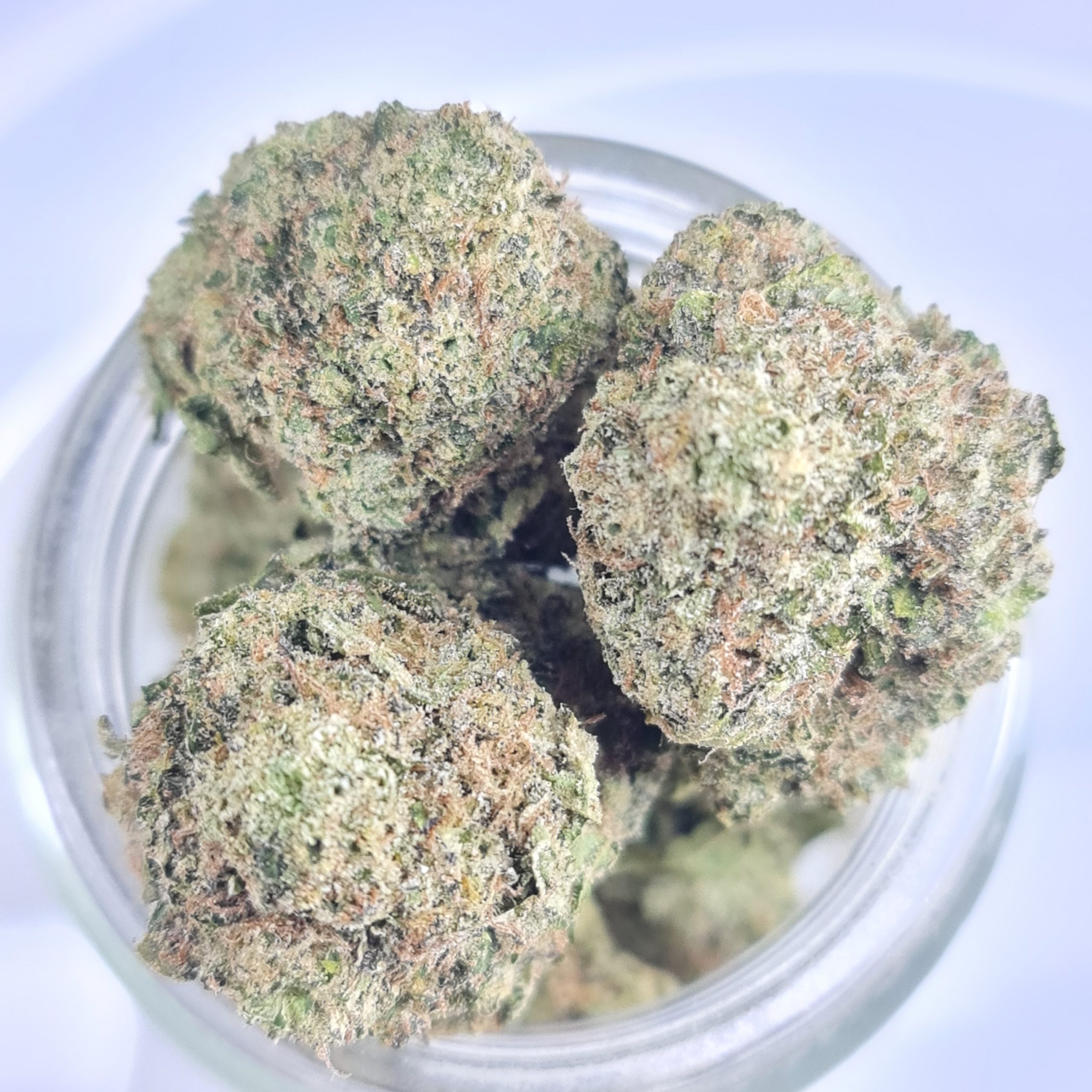 SFV OG BUDGET TRIPS $140/2OZ $75/OZ $45/HALF OZ