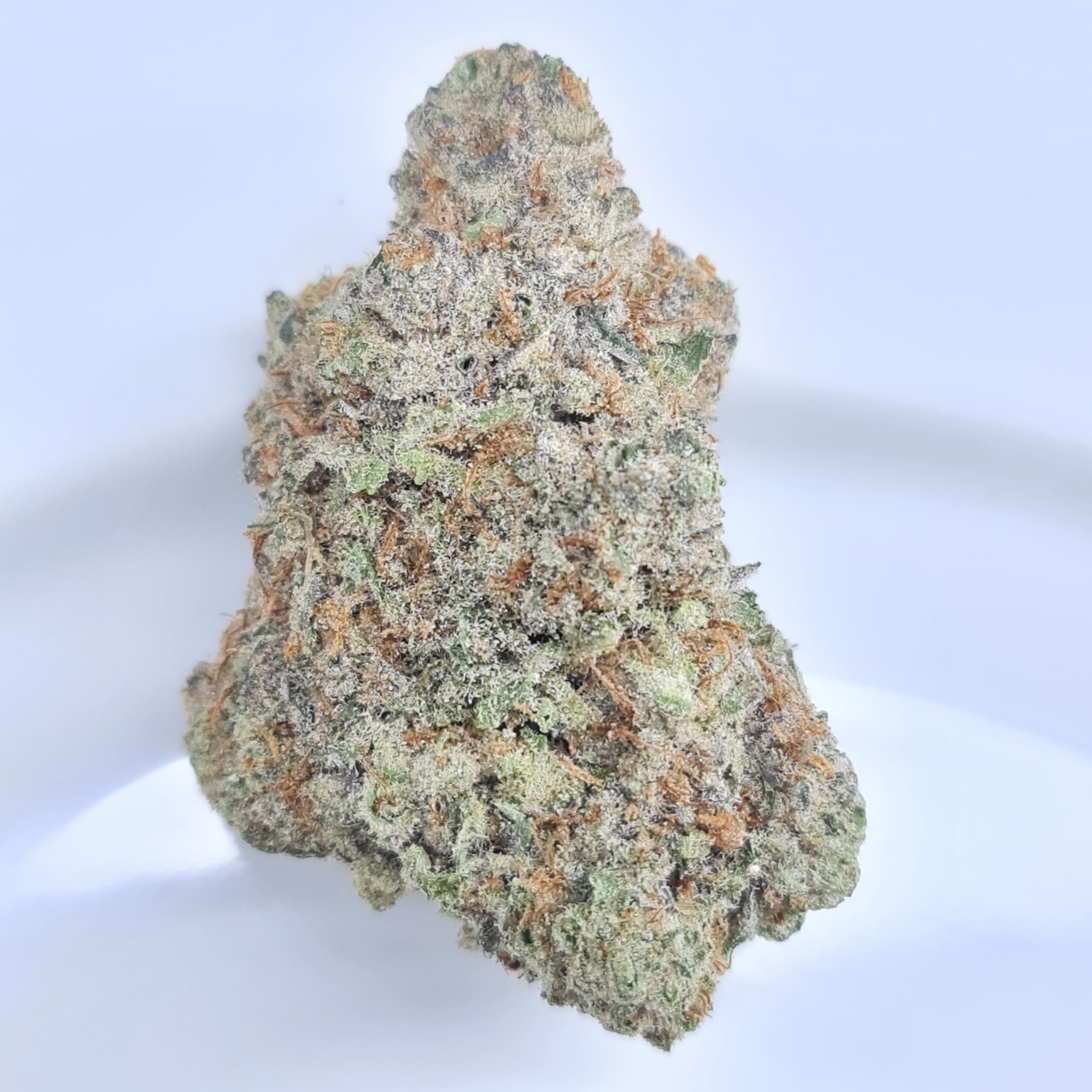 HINDU GLUE BUDGET SUPER QUADS $250/2OZ $140/OZ $80/HALF OZ - Image 2