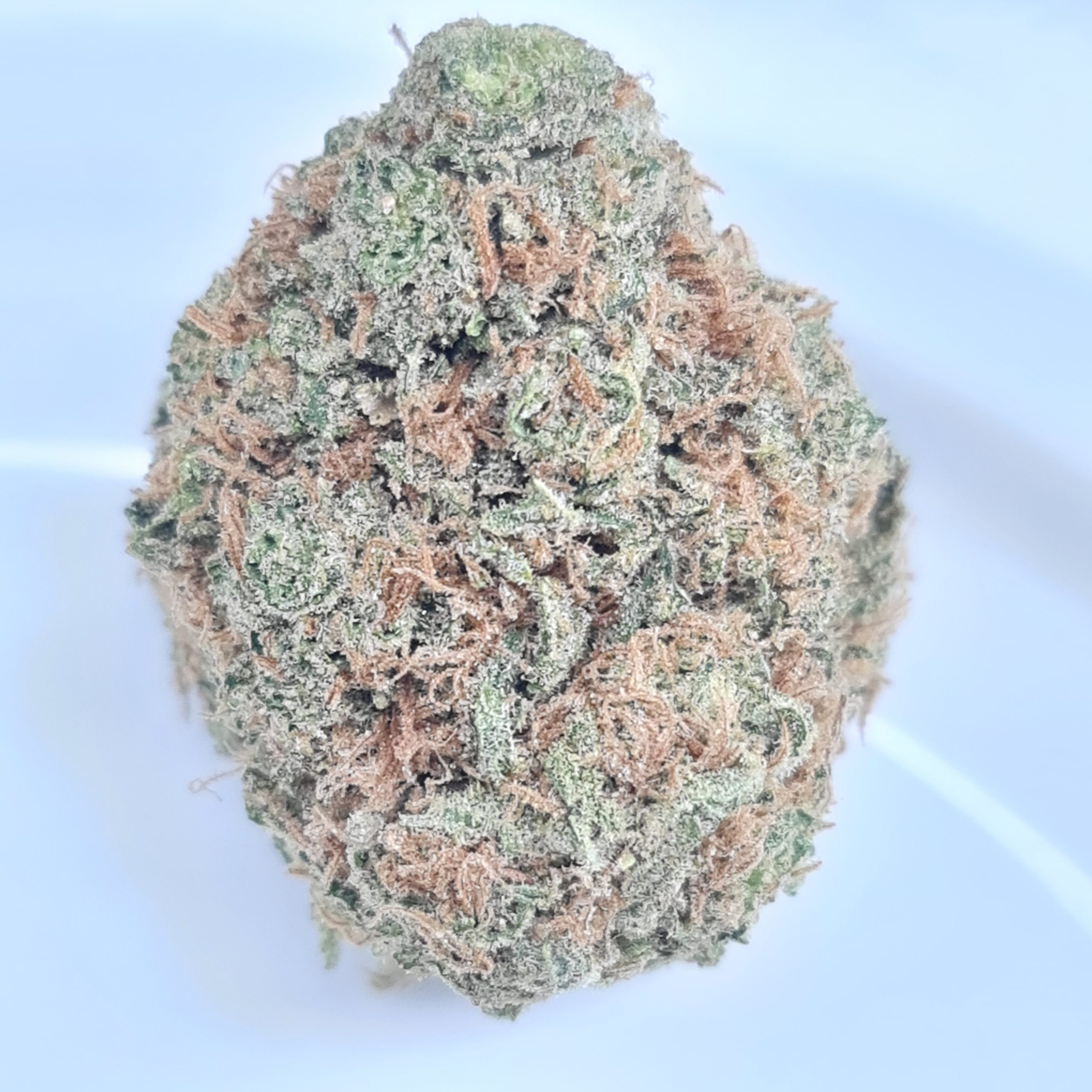 PINEAPPLE EXPRESS BUDGET QUADS $180/2OZ $100/OZ $60/HALF OZ - Image 2