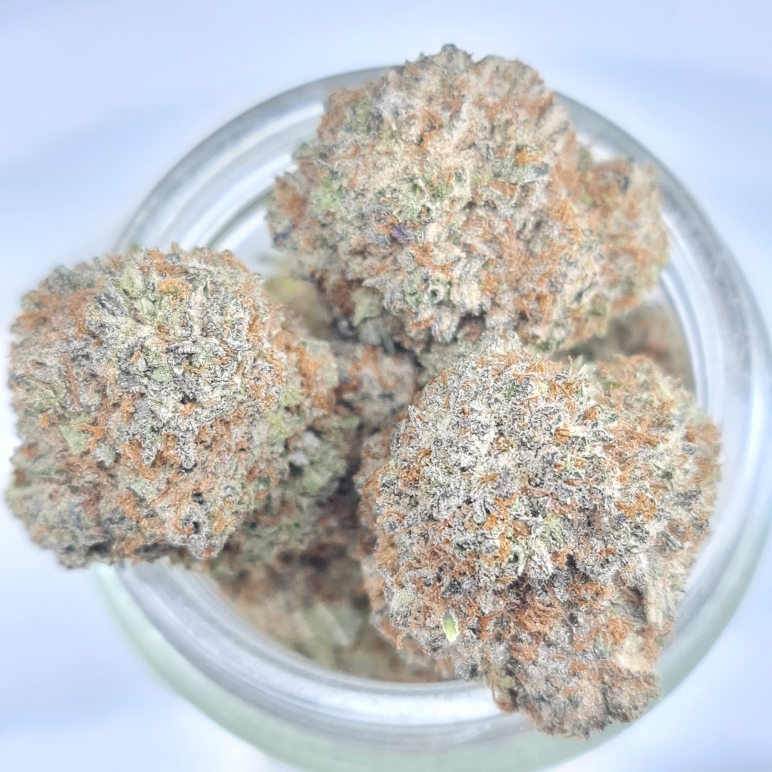 DOUGHBOY PINK BUDGET BUDGET QUADS $200/2OZ $120/OZ $70/HALF OZ