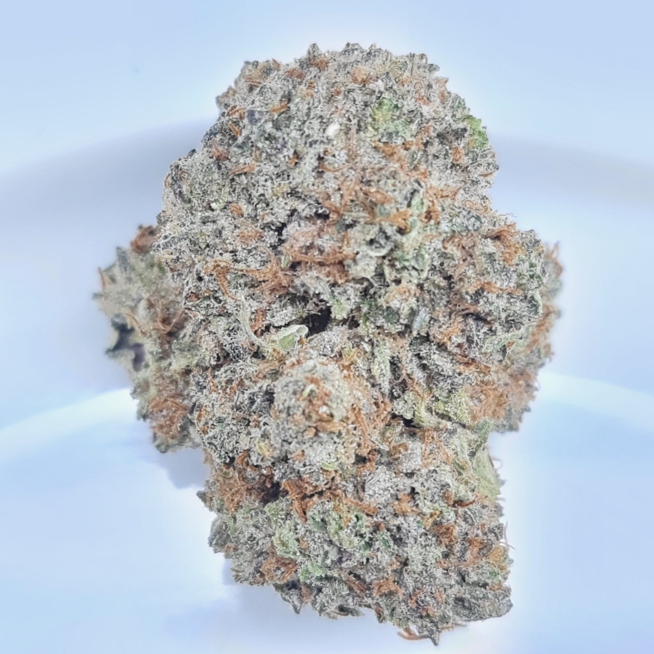 DOUGHBOY PINK BUDGET BUDGET QUADS $200/2OZ $120/OZ $70/HALF OZ - Image 2