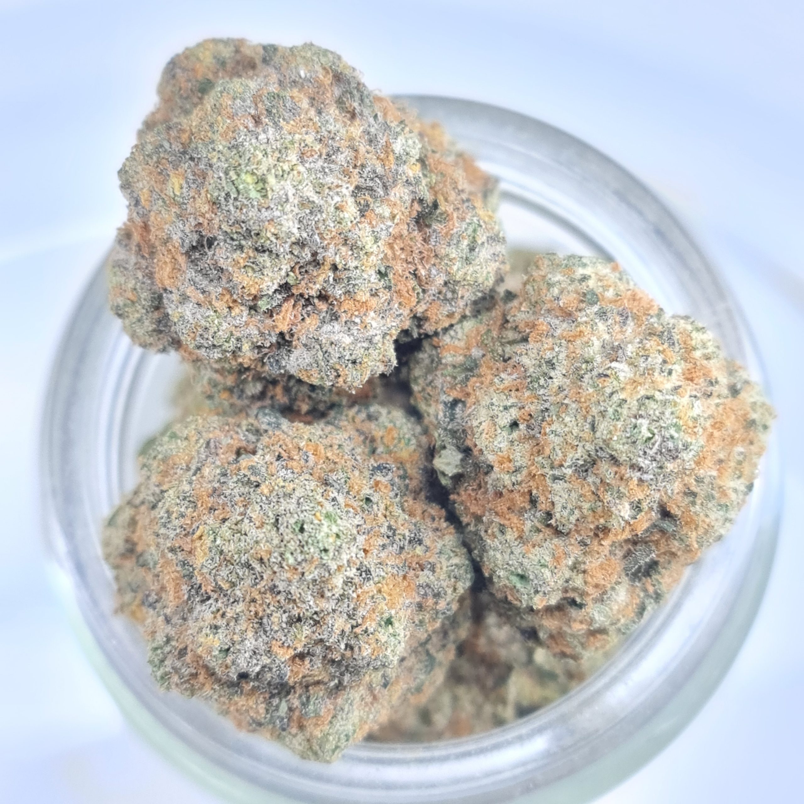 PINK COOKIES BUDGET QUADS BC BUD $200/2OZ $120/OZ $70/HALF OZ